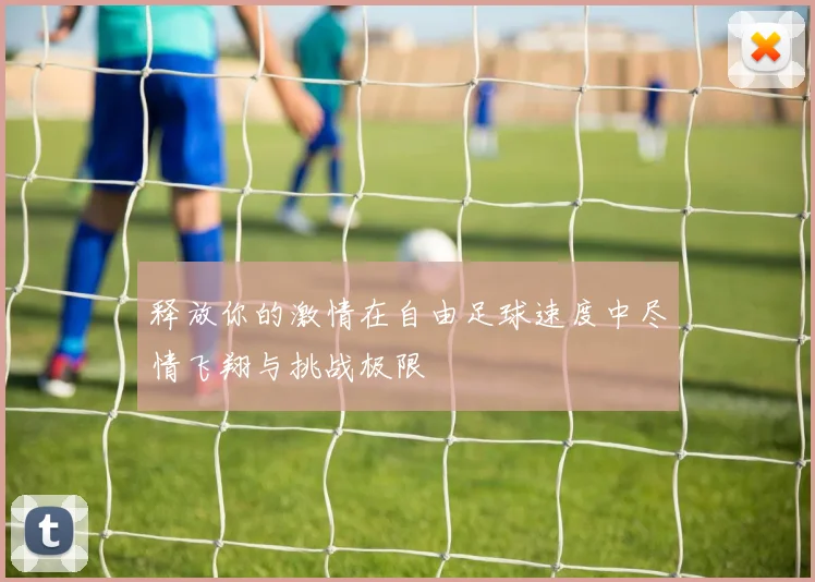 释放你的激情在自由足球速度中尽情飞翔与挑战极限